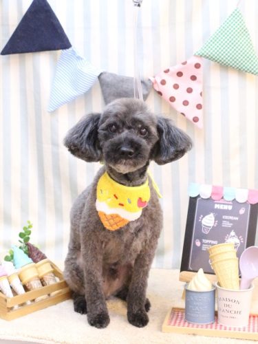 20250525ペコくん